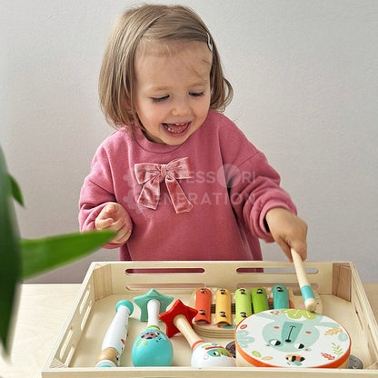 Montessori Music Set