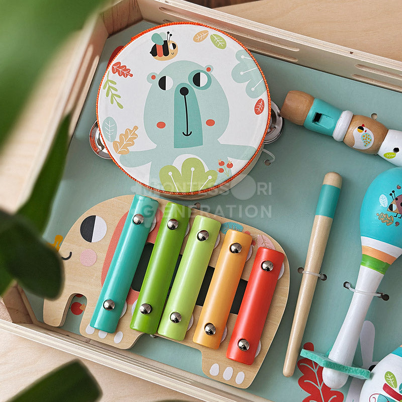 Montessori Music Set